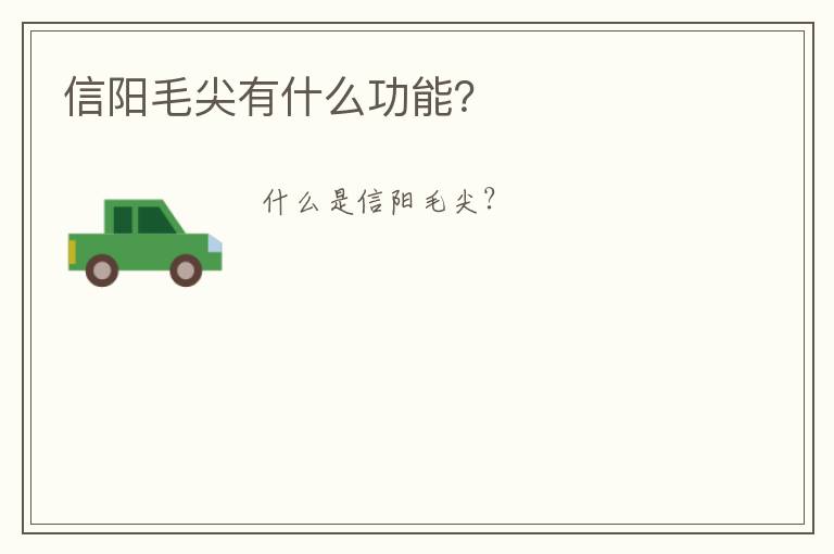信阳毛尖有什么功能？