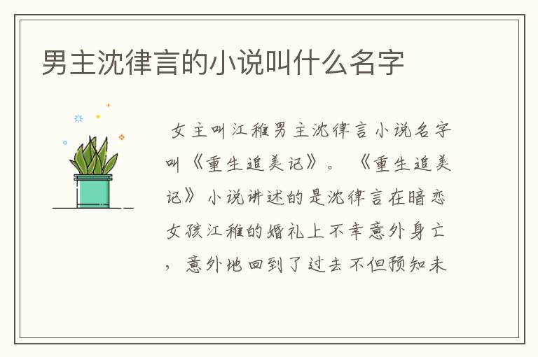 男主沈律言的小说叫什么名字