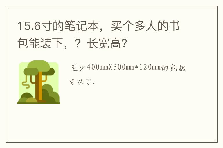 15寸笔记本电脑包尺寸,156寸笔记本电脑包