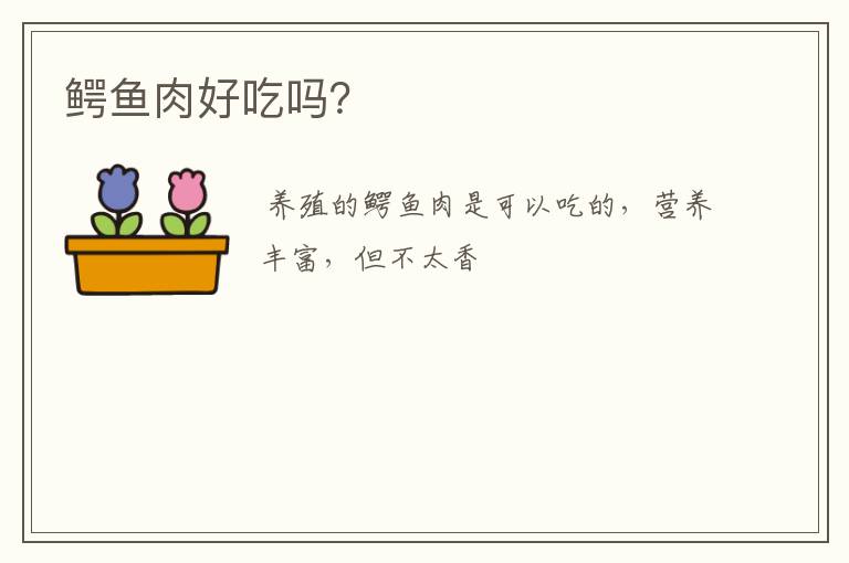 关于鳄鱼好吃吗的一些信息